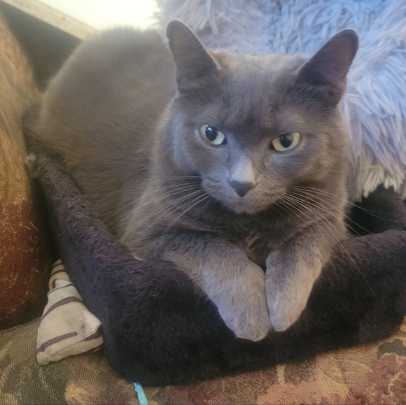 Not For Sale - Picture 1 of 2